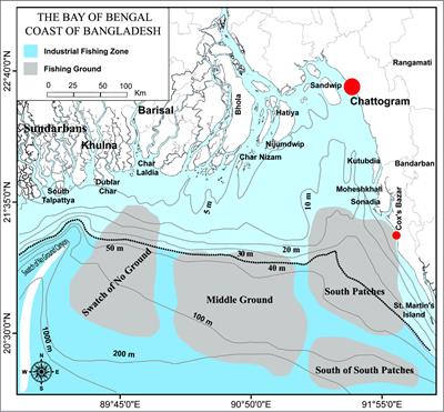 Population dynamics and stock assessment of two major eels (Muraenesox bagio and Congresox talabonoides) from the marine waters of Bangladesh